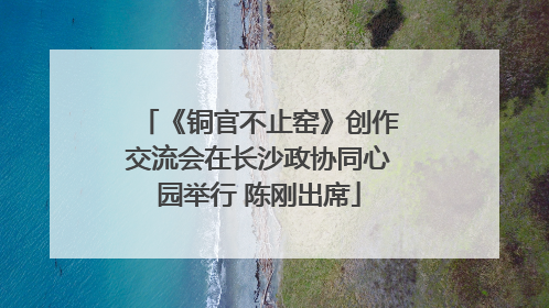《铜官不止窑》创作交流会在长沙政协同心园举行 陈刚出席
