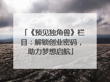 《预见独角兽》栏目：解锁创业密码，助力梦想启航