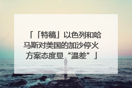 「特稿」以色列和哈马斯对美国的加沙停火方案态度显“温差”