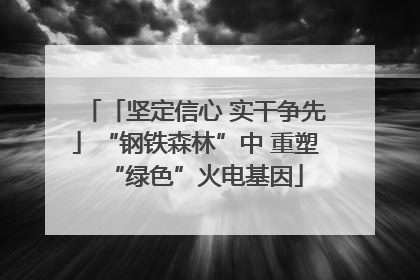「坚定信心 实干争先」“钢铁森林”中 重塑“绿色”火电基因