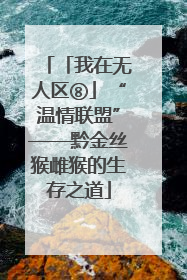 「我在无人区⑧」“温情联盟”——黔金丝猴雌猴的生存之道