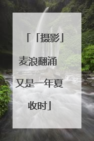 「摄影」麦浪翻涌 又是一年夏收时