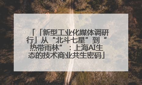 「新型工业化媒体调研行」从“北斗七星”到“热带雨林”：上海AI生态的技术商业共生密码