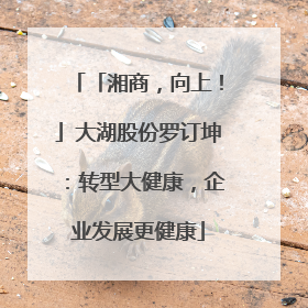 「湘商，向上！」大湖股份罗订坤：转型大健康，企业发展更健康
