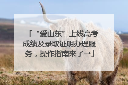 “爱山东”上线高考成绩及录取证明办理服务，操作指南来了→