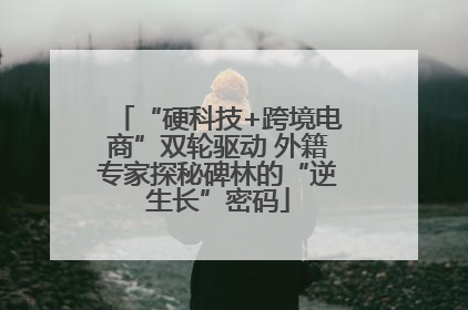 “硬科技+跨境电商”双轮驱动 外籍专家探秘碑林的“逆生长”密码