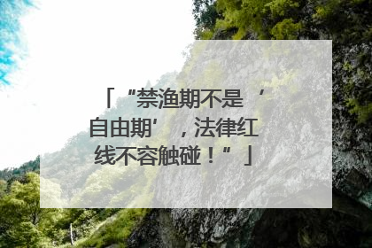 “禁渔期不是‘自由期’，法律红线不容触碰！”