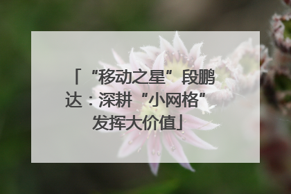 “移动之星”段鹏达：深耕“小网格” 发挥大价值