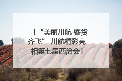 “美丽川航 客货齐飞” 川航精彩亮相第七届西洽会