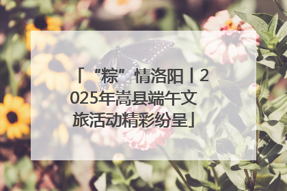 “粽”情洛阳丨2025年嵩县端午文旅活动精彩纷呈