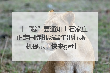“粽”要通知！石家庄正定国际机场端午出行乘机提示，快来get