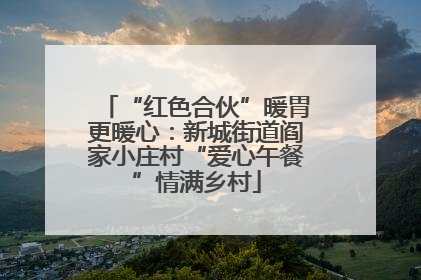 “红色合伙”暖胃更暖心：新城街道阎家小庄村“爱心午餐”情满乡村