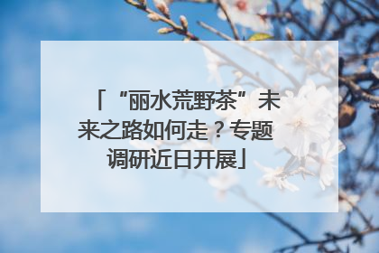 “丽水荒野茶”未来之路如何走？专题调研近日开展