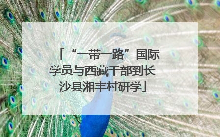 “一带一路”国际学员与西藏干部到长沙县湘丰村研学