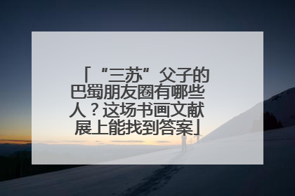 “三苏”父子的巴蜀朋友圈有哪些人？这场书画文献展上能找到答案