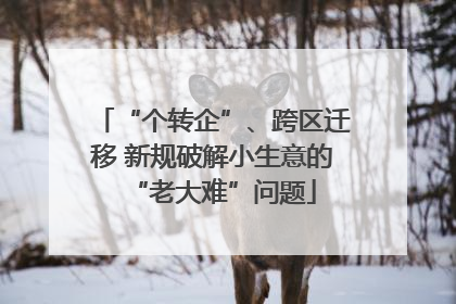 “个转企”、跨区迁移 新规破解小生意的“老大难”问题