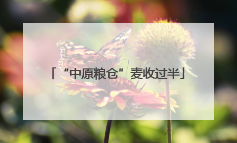 “中原粮仓”麦收过半