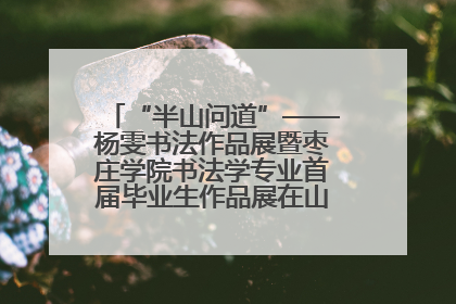 “半山问道”——杨雯书法作品展暨枣庄学院书法学专业首届毕业生作品展在山东省文化馆开幕