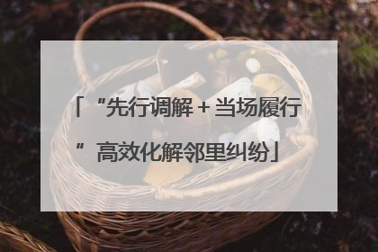 “先行调解＋当场履行”高效化解邻里纠纷