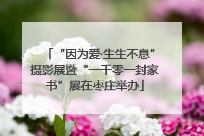 “因为爱·生生不息”摄影展暨“一千零一封家书”展在枣庄举办