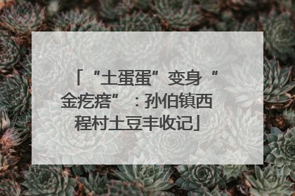 “土蛋蛋”变身“金疙瘩”：孙伯镇西程村土豆丰收记