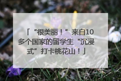 “很美丽！”来自10多个国家的留学生“沉浸式”打卡桃花山！