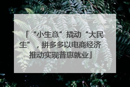 “小生意”撬动“大民生”，拼多多以电商经济推动实现普惠就业