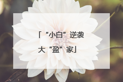 “小白”逆袭大“盈”家