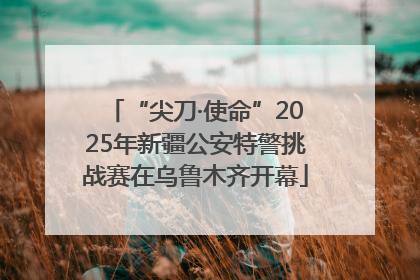 “尖刀·使命”2025年新疆公安特警挑战赛在乌鲁木齐开幕