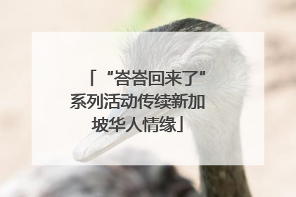 “峇峇回来了”系列活动传续新加坡华人情缘