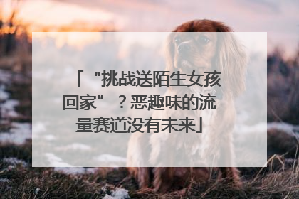 “挑战送陌生女孩回家”？恶趣味的流量赛道没有未来