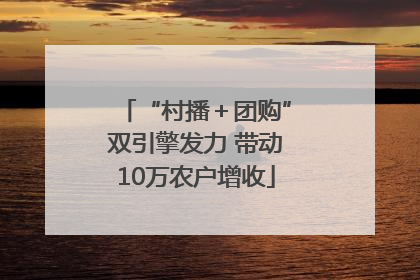 “村播＋团购”双引擎发力 带动10万农户增收