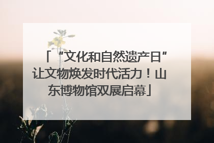 “文化和自然遗产日”让文物焕发时代活力！山东博物馆双展启幕