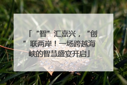 “智”汇嘉兴，“创”联两岸！一场跨越海峡的智慧盛宴开启