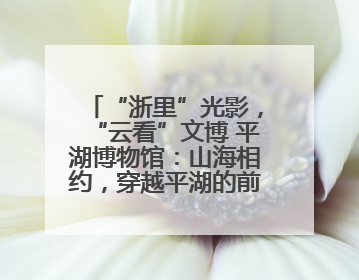 “浙里”光影，“云看”文博 平湖博物馆：山海相约，穿越平湖的前世今生