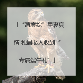 “清廉粽”里裹真情 独居老人收到“专属端午礼”