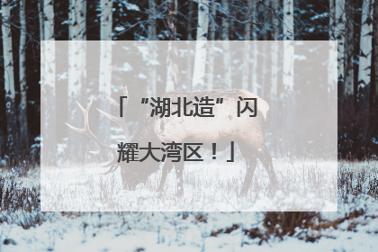 “湖北造”闪耀大湾区！