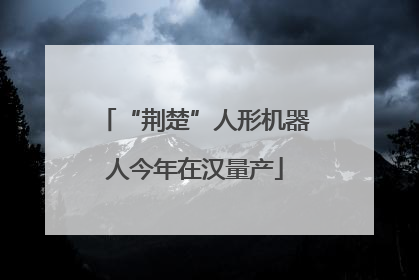 “荆楚”人形机器人今年在汉量产