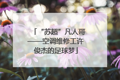 “苏超”凡人哥——空调维修工许俊杰的足球梦