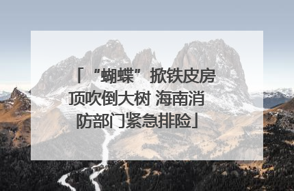 “蝴蝶”掀铁皮房顶吹倒大树 海南消防部门紧急排险