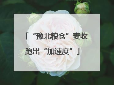 “豫北粮仓”麦收跑出“加速度”