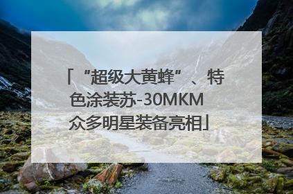 “超级大黄蜂”、特色涂装苏-30MKM 众多明星装备亮相