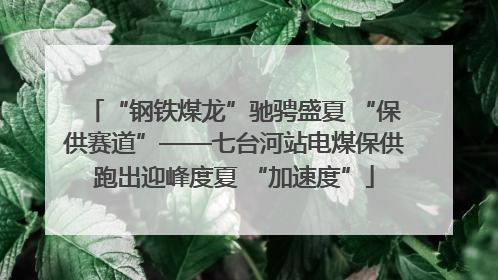 “钢铁煤龙”驰骋盛夏 “保供赛道”——七台河站电煤保供跑出迎峰度夏 “加速度”