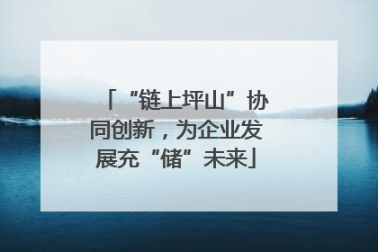 “链上坪山”协同创新，为企业发展充“储”未来