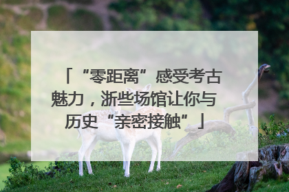 “零距离”感受考古魅力，浙些场馆让你与历史“亲密接触”