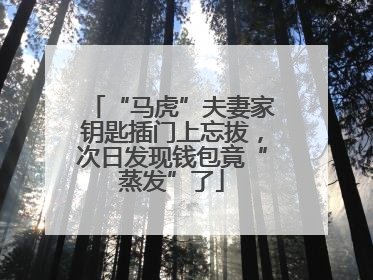 “马虎”夫妻家钥匙插门上忘拔，次日发现钱包竟“蒸发”了