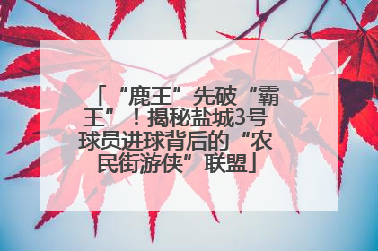“鹿王”先破“霸王”！揭秘盐城3号球员进球背后的“农民街游侠”联盟