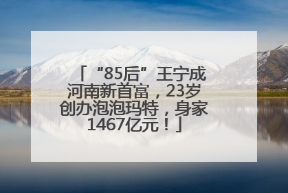 “85后”王宁成河南新首富，23岁创办泡泡玛特，身家1467亿元！