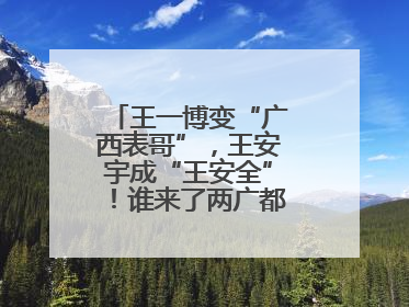 王一博变“广西表哥”，王安宇成“王安全”！谁来了两广都得“腌入味”
