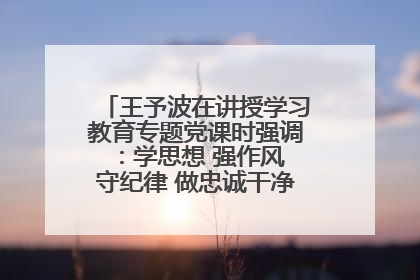 王予波在讲授学习教育专题党课时强调：学思想 强作风 守纪律 做忠诚干净担当的共产党员